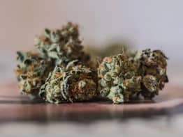 weed